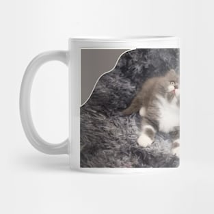 lovely cats Mug